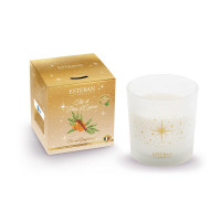 Bougie parfumée 450g Thé et Pain d'épices, Esteban