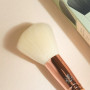 Pinceau poudre N°101, Bachca