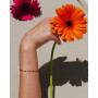 Bracelet Castelo noir, Palas