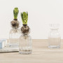 Vase en verre Dressy, Rasteli
