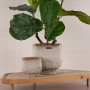 Cache pot en céramique Stoneglaze, Rasteli