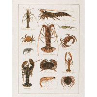 Torchon La Mer Crustacés, Tessitura Toscana Telerie