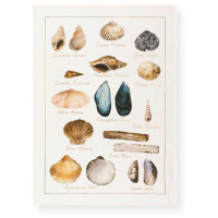 Torchon La Mer Conchiglie, Tessitura Toscana Telerie