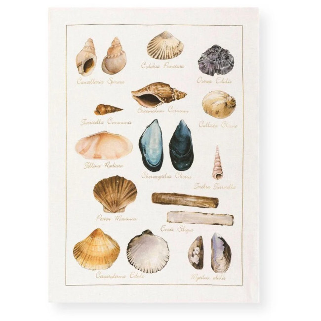 Torchon La Mer Conchiglie, Tessitura Toscana Telerie