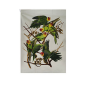 Torchon Encyclopedia Oiseaux Jaune, Kiub