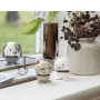 Chat Blanc Bumble, Hoptimist
