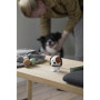 Chien Blanc Bumble, Hoptimist