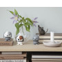 Chien Blanc Bumble, Hoptimist