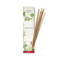 Encens indiens Citronnelle et Menthe, Estéban
