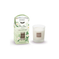 Bougie parfumée 180 gr Thé en fleur, Estéban