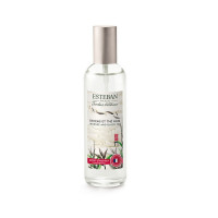Vaporisateur 100 ml Encens & Thé noir, Estéban