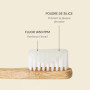 Dentifrice Menthe, What Matters