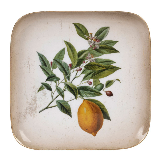 Plateau en fer 16 cm Citron Botanique, Côté Table