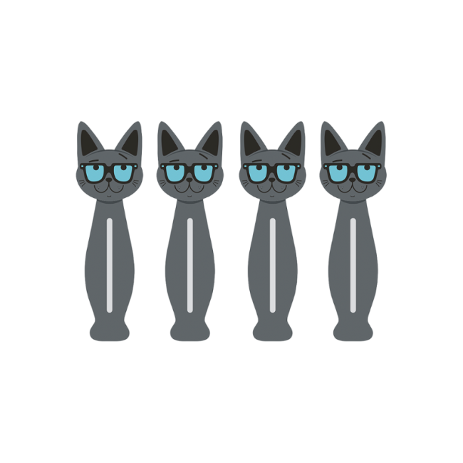 Set de 4 pinces à Linge Chat Intello, Derrière la porte