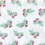 Serviettes en papier Framboise, Françoise PAVIOT