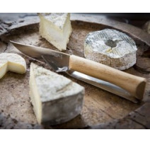 Couverts à fromage - sélection de couteaux à fromage