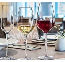 Les accessoires pour le vin 